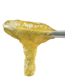 Mellowz Live Rosin Jam 1g