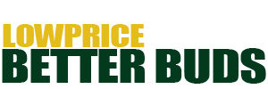 LOW PRICE BETTER BUDS